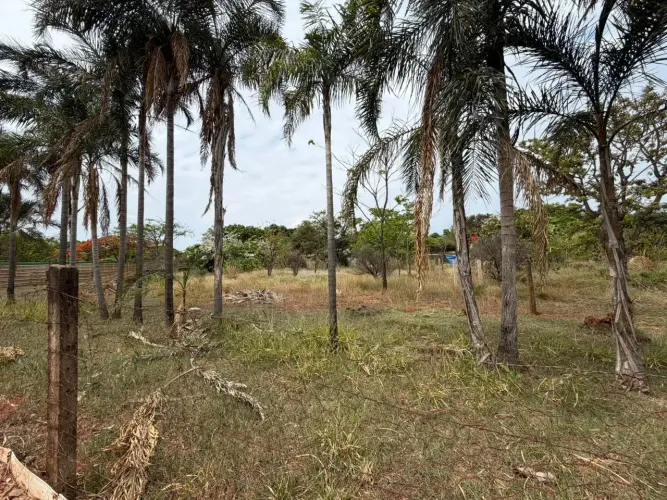 lote ponte alta norte, 2.100 metros, fora de condomínio, asfalto na porta, 40 metros de fr