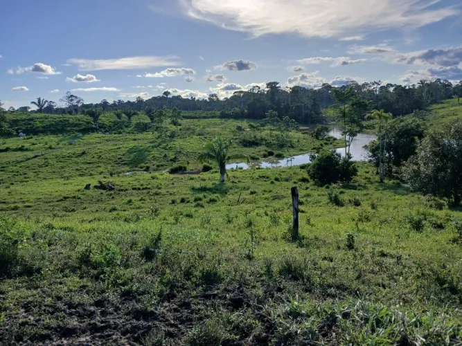 Terra à venda, em Feijó Acre.