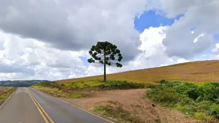Propriedade Rural com 28 Hectares - Irani, SC