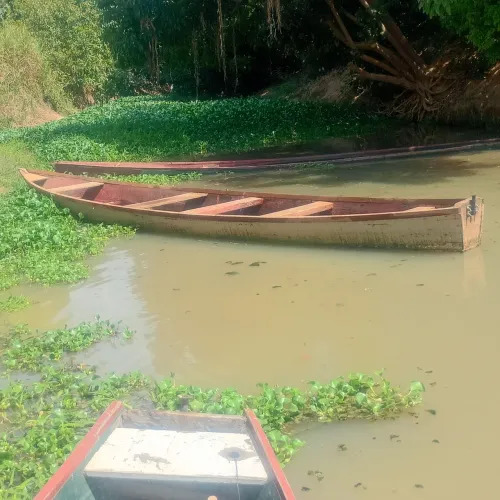 Canoa 7 metro