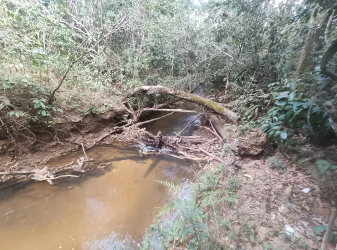 Vendo ótima chácara no setor Bonsucesso em Planaltina-DF