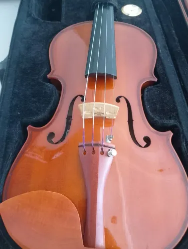Violino 4/4 Eagle VE-441