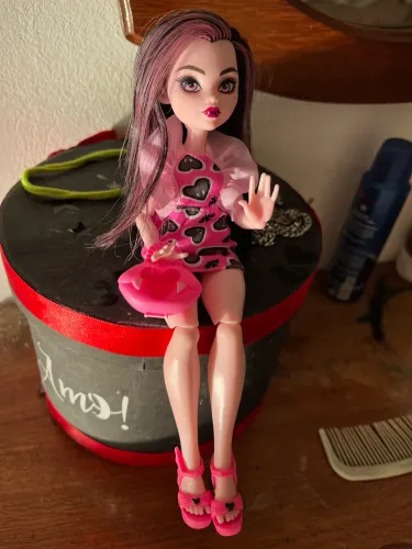 Lote Monster High g3(ler descrição)
