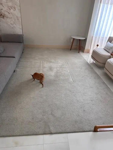 Tapete para casa