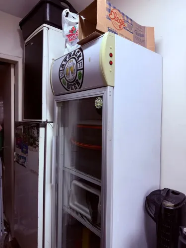 REFRIGERADOR EXPOSITOR RAVINU 300L Modelo