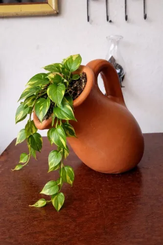Vaso caído em cerâmica para plantas pendentes