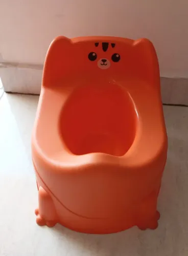 Toninho infantil novo