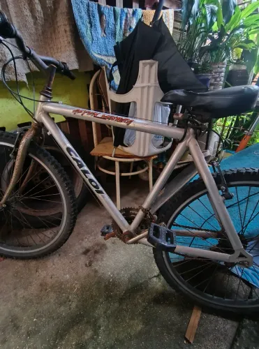 Bicicleta