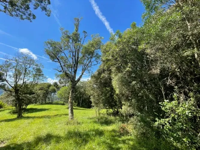 Chácara de dois hectares com água - Urubici
