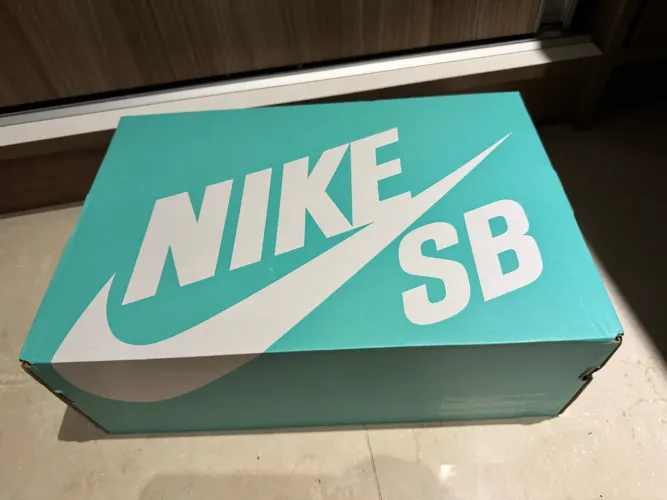 Tênis Nike SB Force 58 Bege cor mais exclusiva rara 