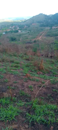 Estou vendendo este lote tem documento aceita troca média 12x25 * bairroLuc
