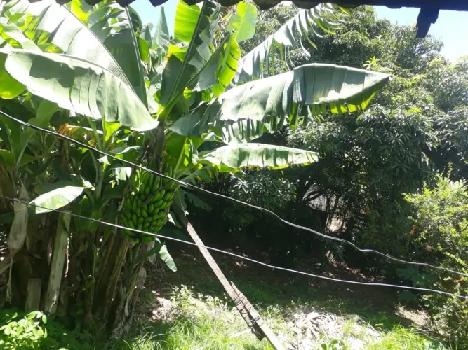 Venda casa simples minas gerais campo belo mg
