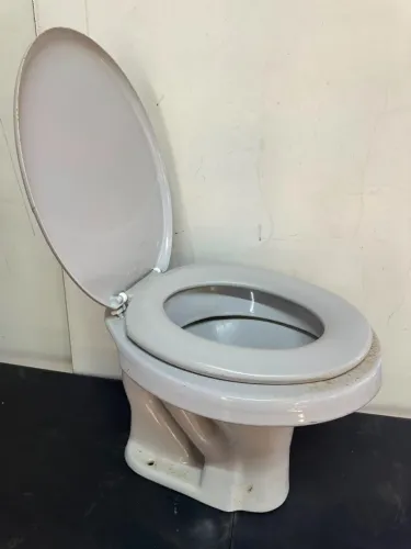 Vaso sanitário e assento com tampa