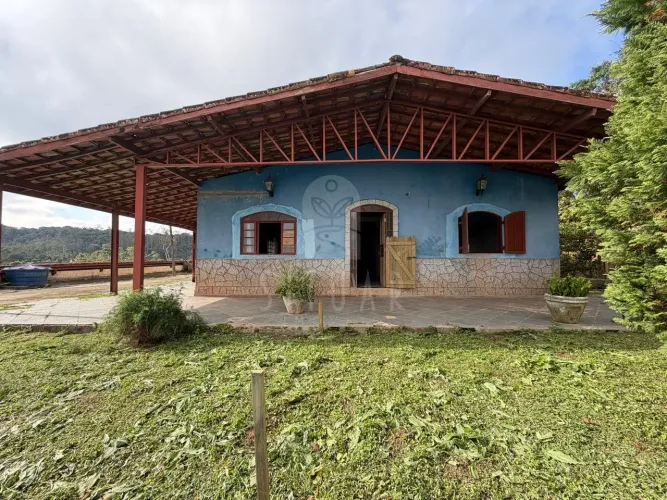 Haras com Estrutura para Hípica e Cavalos Criados em Baias