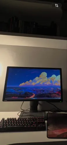 Monitor Benq XL2411