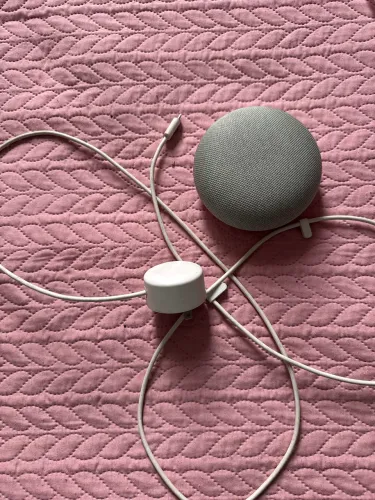 Google Nest Mini