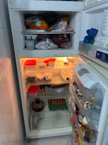 Geladeira Bosch 419l