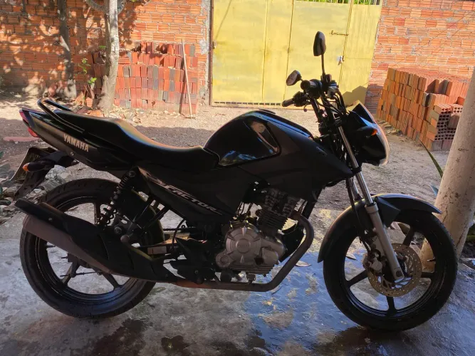 Fector ano 19/20