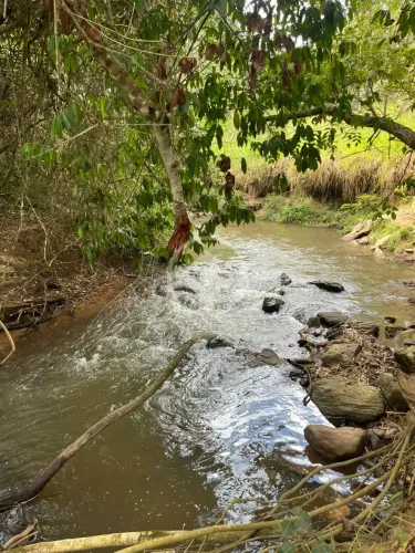 Chácara com 2 Hectares, Poço Artesiano e Energia à Venda em Morrinhos-GO codigo: 342727