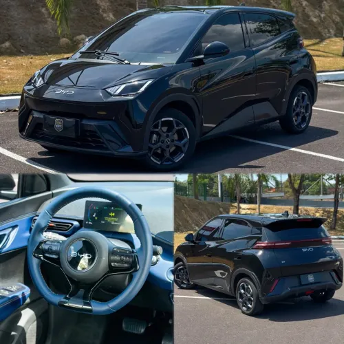 BYD Dolphin Mini (Elétrico) 2026