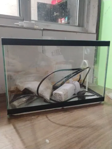 Aquário 10 litros