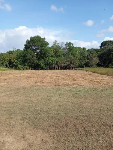 Lote de Terra