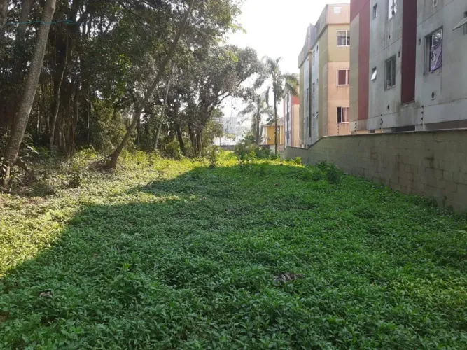 Terreno para Venda em São José, Forquilhas