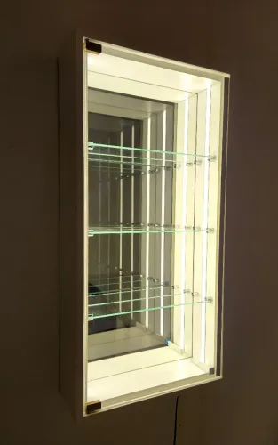 Vitrine Expositora