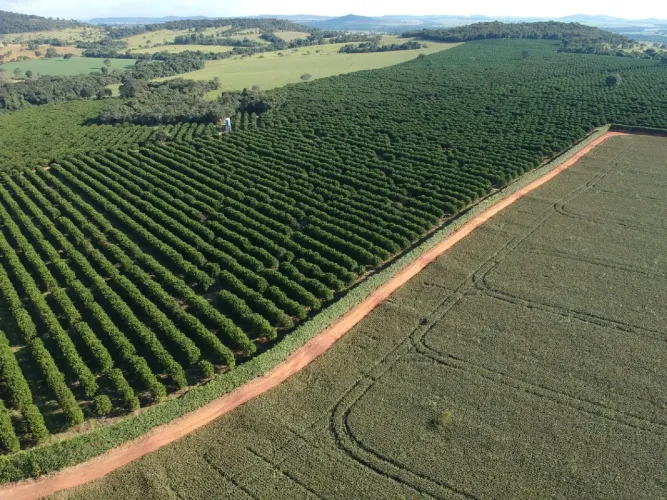 Área com 111 hectares em Pontalina/GO