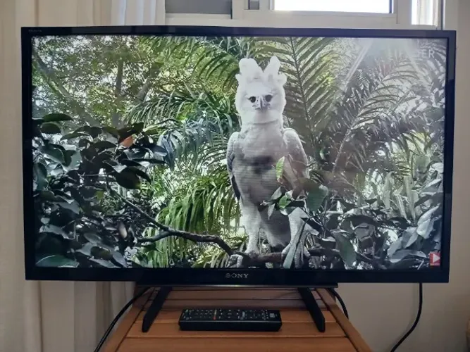 TV SONY 32 POLEGADAS TELA DE LED HD