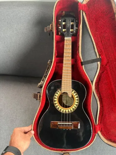 Vendo ou troco cavaco cavaquinho profissional lucenir  ano 2009 conservado sempre na case 