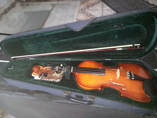 Violino modelo vg 441 usado
