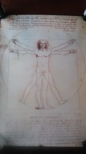 Tela em canva da Vinci Homem Vitruviano