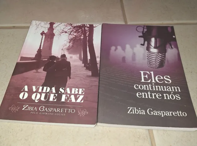 Livros Zibia Gaspareto