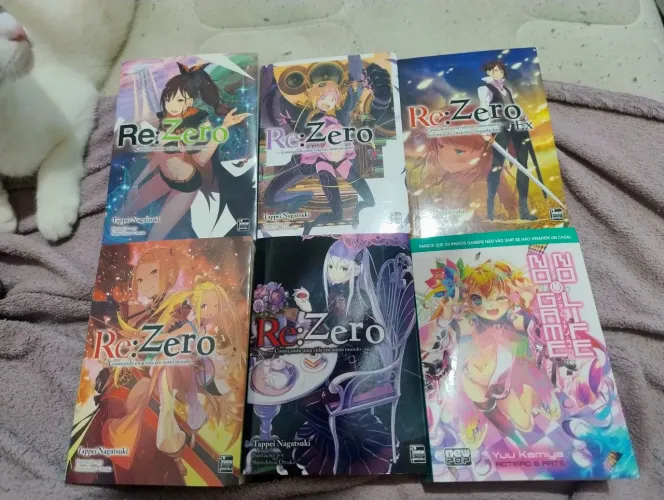 Desapego livros de bolso de Re:Zero (1 de No Game No life de brinde)