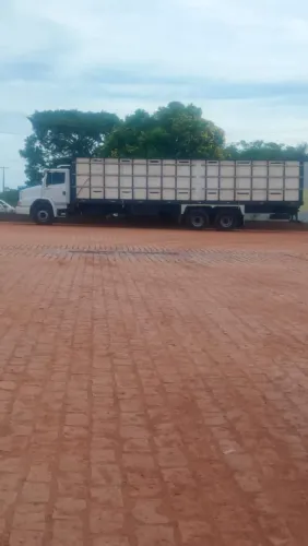 Caminhão boiadeiro