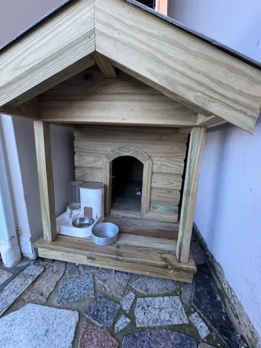 Casinha de cachorro 