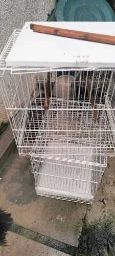Duas Gaiola de reprodução de ferro 