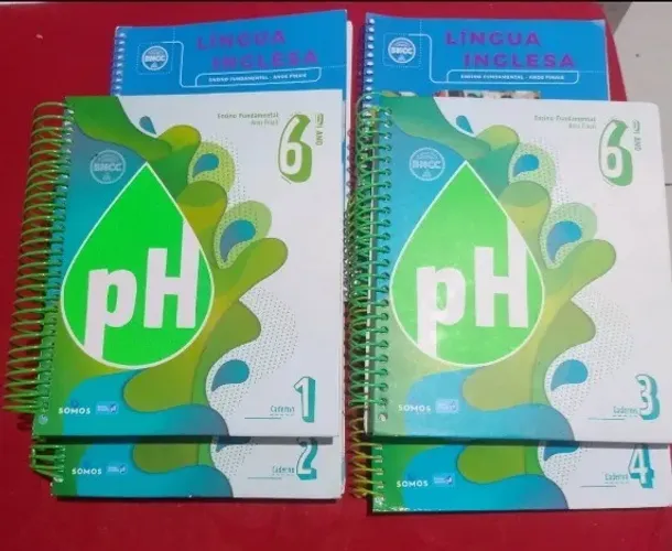 LIVRO ENSINO PH 6 ANO
