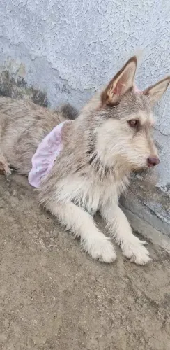 Pra doação 