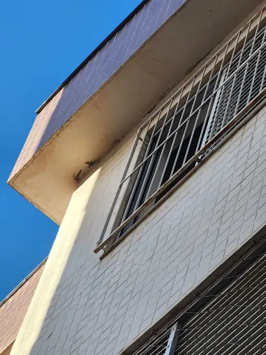 Grade de ferro para janela
