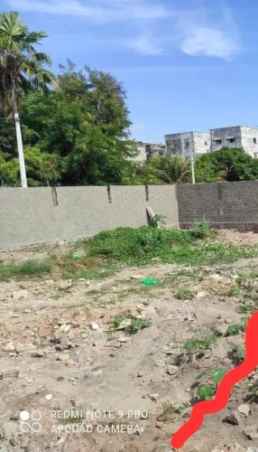 10X20 tamanho