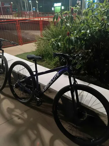 BIKE SEMINOVA, MARCA: ABSOLUTE