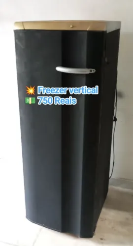 Freezer vertical Eletrolux 173 LT 
