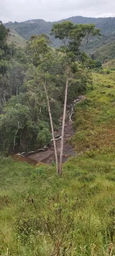 Oportunidade Imperdível: 16 Hectares de Pura Natureza e Produtividade