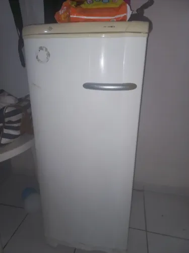 Frezzer vertical
