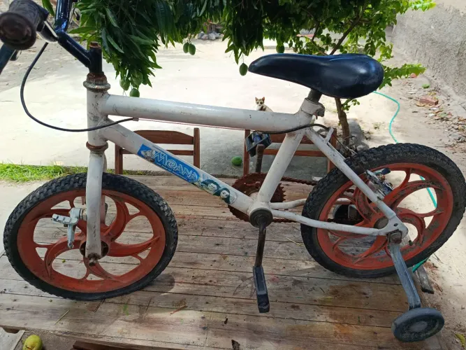 Bicicleta infantil Feminina