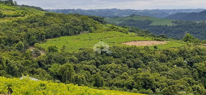 Área de terra de 6.5 hectares no interior de Monte Belo do Sul