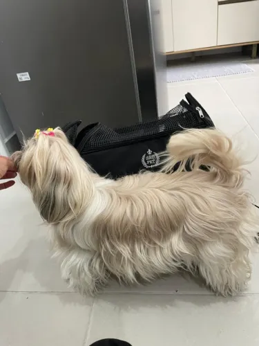 BOLSA PET