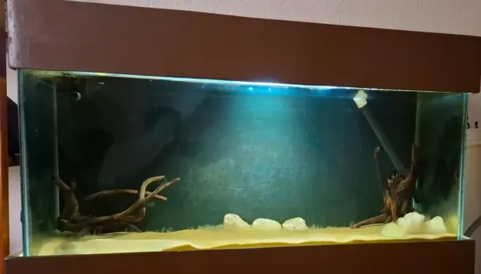 AQUÁRIO DE 230L + MÓVEL MADEIRA MACIÇA